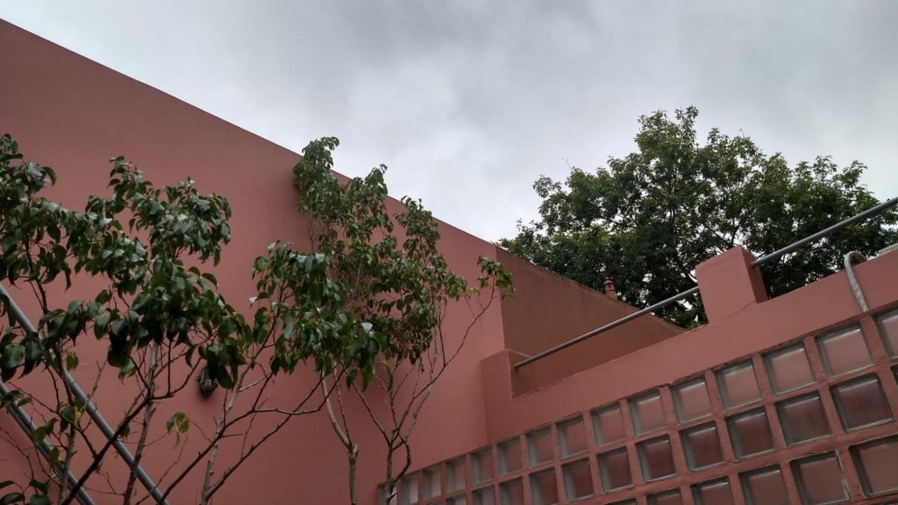 Departamentos Enteros En Palermo Hollywood Lejlighed Buenos Aires Eksteriør billede
